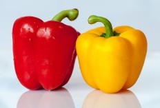 104 Km dari Pusat Kota Surabaya! Daerah di Jawa Timur ini jadi Wilayah Satu-Satunya Karena Berhasil Memproduksi Paprika 