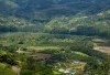 Petualangan Budaya! Mengenal Lebih Dekat Desa Batak dengan Warisan 3 Jenis Rumah Adat, Ada yang Dikenal Kampung Kanibal? 