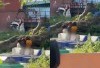 Siapa Orang Tua 3 Bocah Mesum di Kuburan Kecamatan Tallo? Video Viral Direkam Pengendara Lain, Sempat Buka Celana Akibat Keracunan HP?