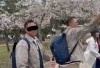 Profil dan Biodata Alfazan Nugroho, WNI yang Diduga Rusak Pohon Sakura di Jepang, Banjir Kritik Netizen Dikatai Bikin Malu: Lengkap Dengan Akun IG