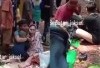 Kronologi Dua Pengunjung Tertimpa Pohon di Ragunan Hingga Dirawat di RSUD, Begini Tanggapan Pihak Taman Ragunan